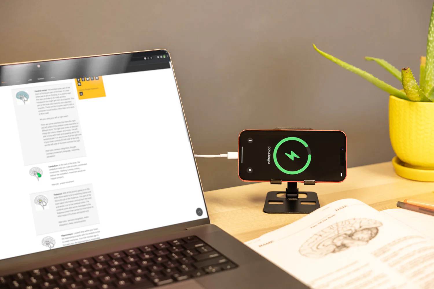 Foldable Desk Phone Stand - Image 4